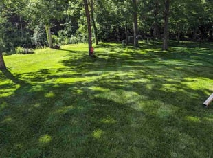 Jason E.'s Lawn Maintenance service result