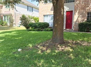 Brandon H.'s Yard Cutting service result