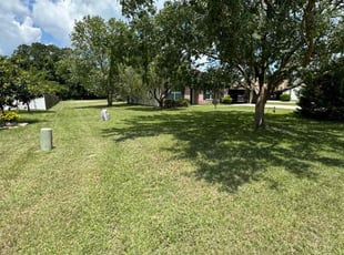 Lee H.'s Lawn Mowing service result