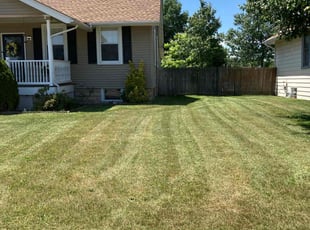 Janis S.'s Lawn Service service result