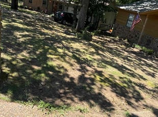 Leaf Removal by Kaacine Whipset for Joshua O. in Sherwood, AR