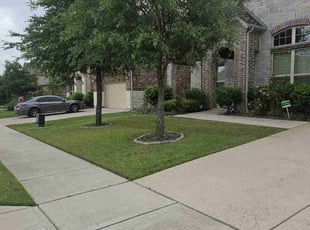 Dexter P.'s Yard Cutting service result