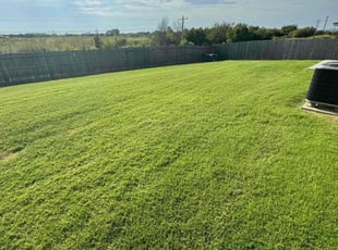 Lovrina S.'s Lawn Mowing service result