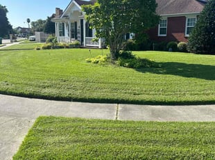 Tracey S.'s Yard Cutting service result