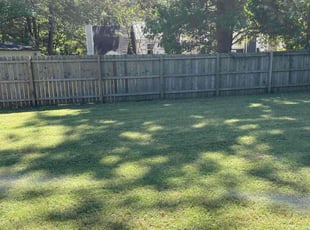 Rochelle T.'s Lawn Mowing service result