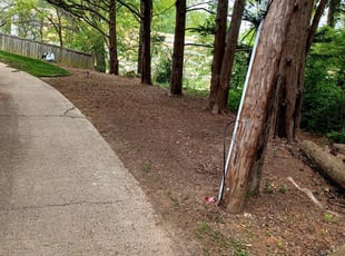 Leaf Removal by Angel P. for Cedric H. in Arlington, VA