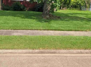Ether T.'s Lawn Service service result
