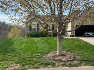 Lisa K.'s Lawn Care service result