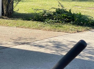 Bush Trimming by Carl George for Shauna L. in Baton Rouge, LA