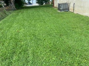 Terri R.'s Lawn Care service result