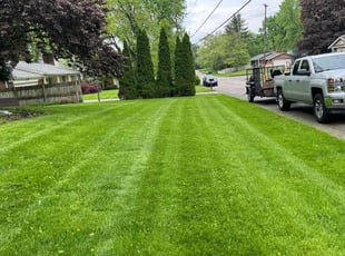 Elizabeth L.'s Grass Cutting service result