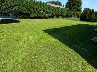 Nick K.'s Lawn Care service result