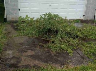 Landscaping by Carvell Smith for Ivory C. in Baltimore, MD