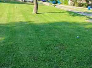 JC A.'s Lawn Mowing service result