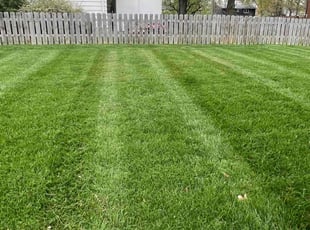 Martha K.'s Lawn Mowing Service service result