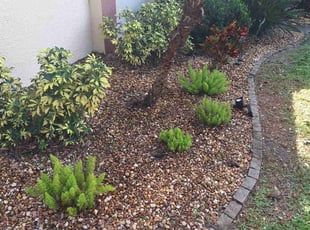 Weeding by Peterson Dariste for Steve C. in North Port, FL