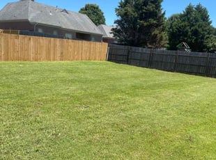 Mark H.'s Lawn Mowing service result