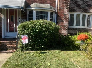 Bush Trimming by Emmanuel Viera for savannah L. in Wilmington, DE