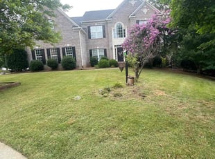 Chris S.'s Lawn Care service result