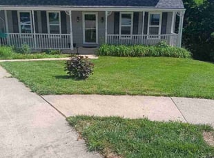 Cindy B.'s Lawn Mowing service result