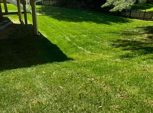 Thomas L.'s Lawn Care service result