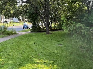 Cheryl I.'s Lawn Service service result