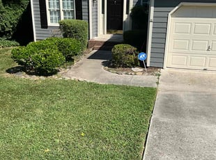 Bush Trimming by Beau Pais for Nathalia D. in Greensboro, NC