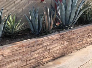Landscaping by Ronald Coleman for Matthew G. in Glendale, AZ