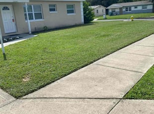 Christian S.'s Lawn Service service result