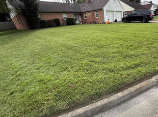 Irene S.'s Lawn Service service result