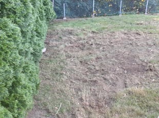 Cleanups by Glenn Rodriguez for Donato D. in Shelton, CT