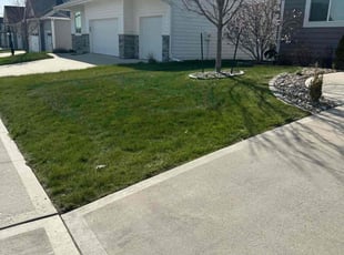 Anthony C.'s Grass Cutting service result