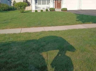 Steve A.'s Lawn Mowing service result
