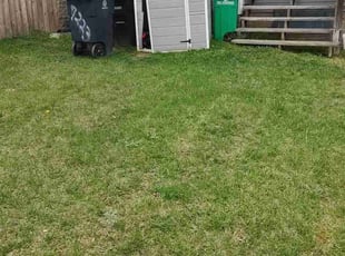 Betty T.'s Lawn Care service result