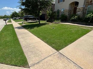 John P.'s Lawn Mowing service result