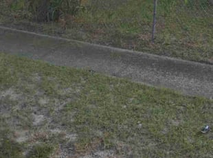 Weeding by Elijah Fogarty for Sam E. in Parrish, FL