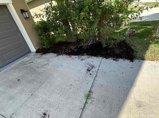 Mulching by Larz Pugh-hall for Jay M. in Sarasota, FL