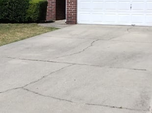 Bush Trimming by Lenny Watson for Maria H. in Jacksonville, FL