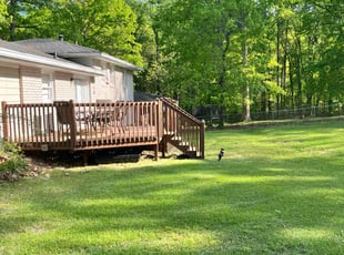 Fuller L.'s Yard Cutting service result