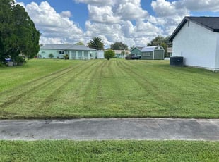 Sandra C.'s Lawn Service service result
