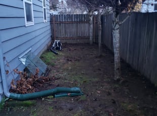 Leaf Removal by J P for Nina K. in Portland, OR