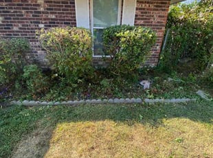 Bush Trimming by Mekeila Morris for Vanisha A. in Baton Rouge, LA