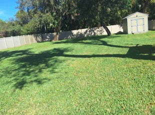 Orin R.'s Yard Cutting service result