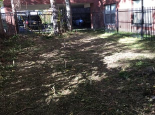 Cleanups by Jimmy Swanson for Alicia R. in Buffalo, NY