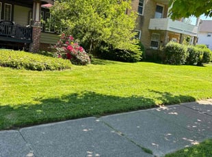 Diane B.'s Lawn Service service result
