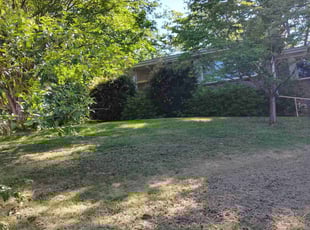 Cleanups by Mike Gulley for John Michael F. in Birmingham, AL
