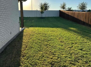 Mimi R.'s Yard Cutting service result