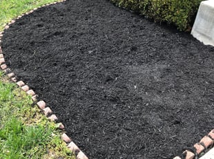 Mulching by Kunle Okubena for Charlezetta B. in Clinton, MD