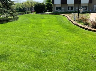 Kavin V.'s Lawn Service service result