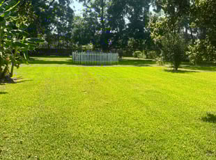 Rebecca B.'s Lawn Care service result